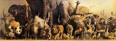ANIMALIA