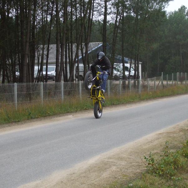 dscf0313.jpg