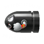 Municion nacional