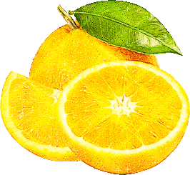 limon_10.gif